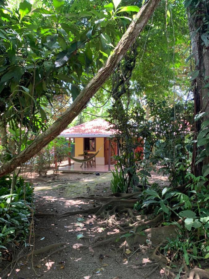 Отель Brigitte'S Ranch Кауита Экстерьер фото