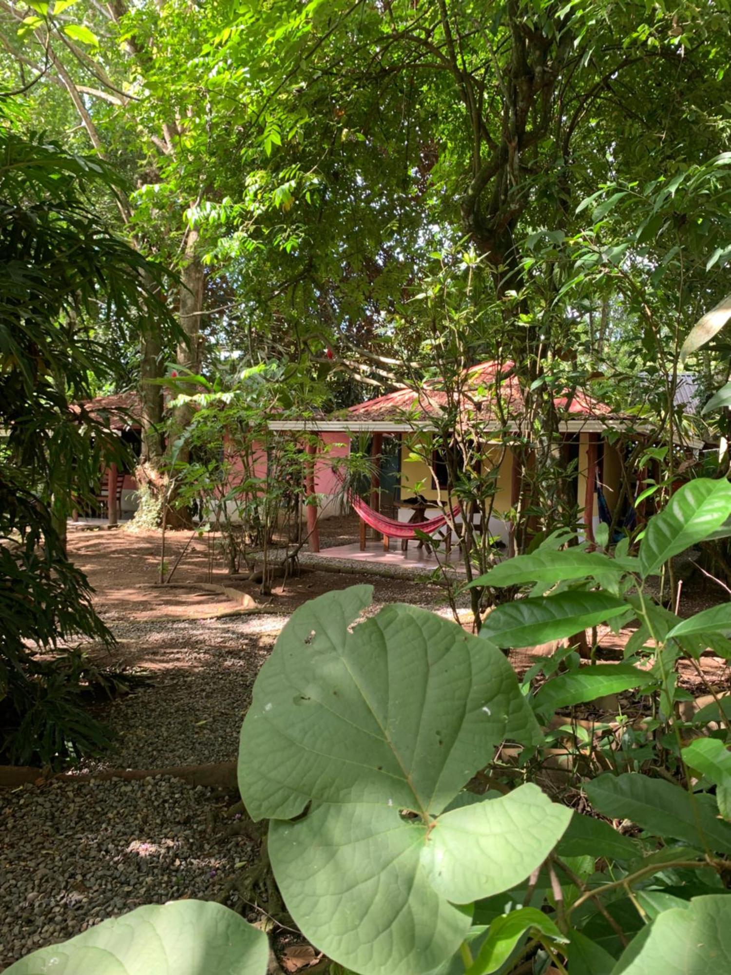 Отель Brigitte'S Ranch Кауита Экстерьер фото