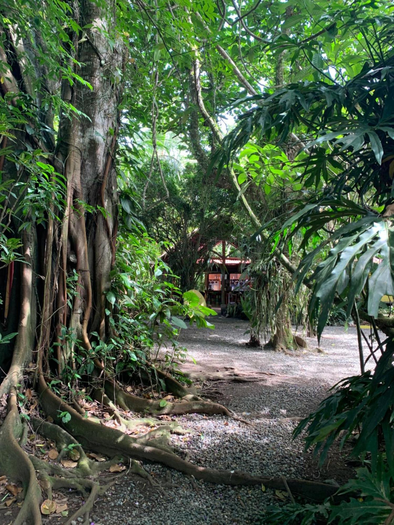 Отель Brigitte'S Ranch Кауита Экстерьер фото