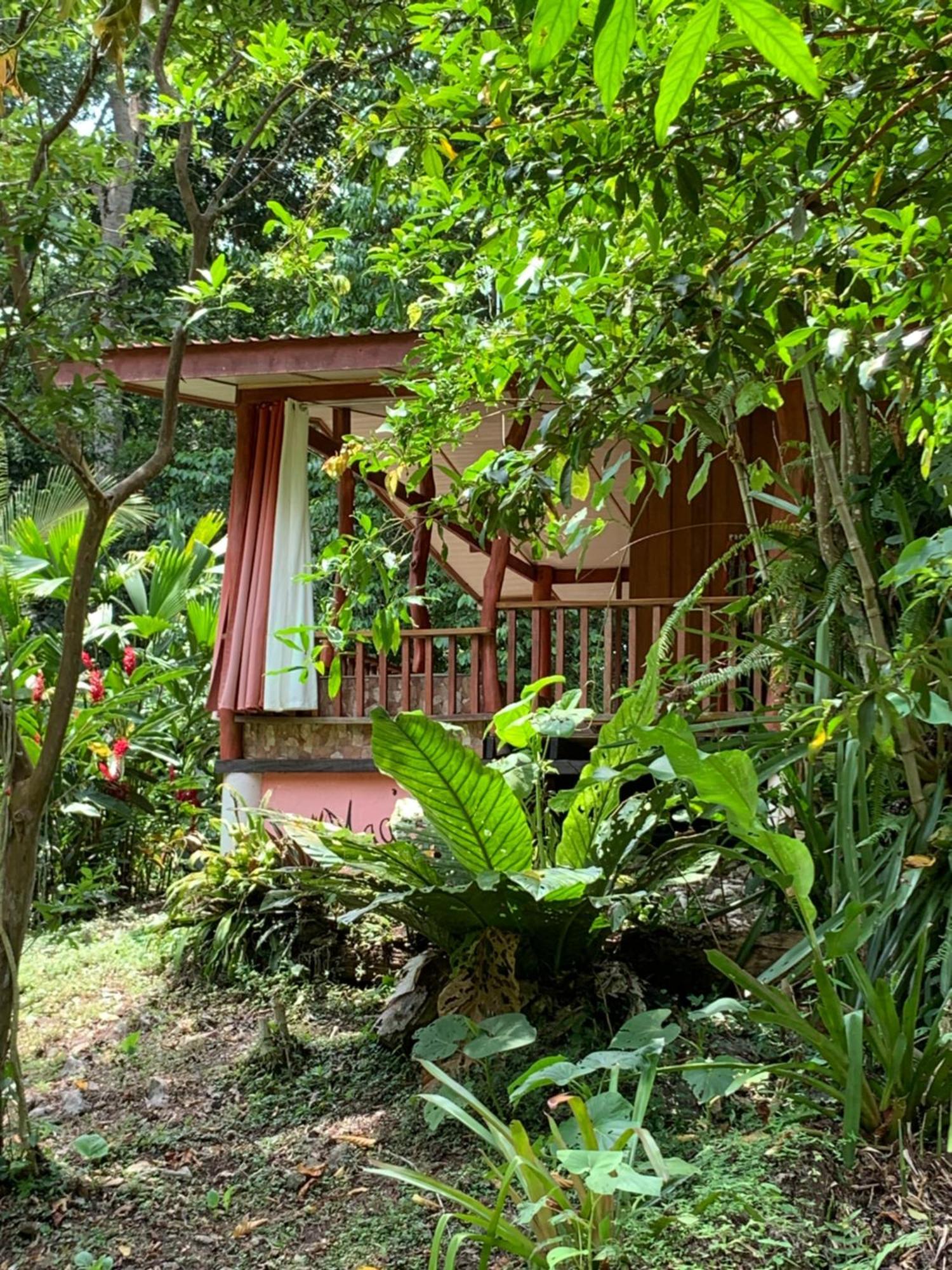 Отель Brigitte'S Ranch Кауита Экстерьер фото